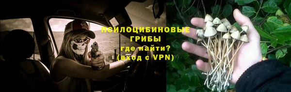 дживик Баксан