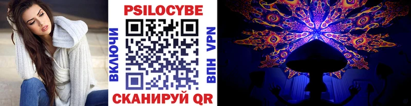 Купить закладки  Бирюсинск  Псилоцибиновые грибы Magic Shrooms 